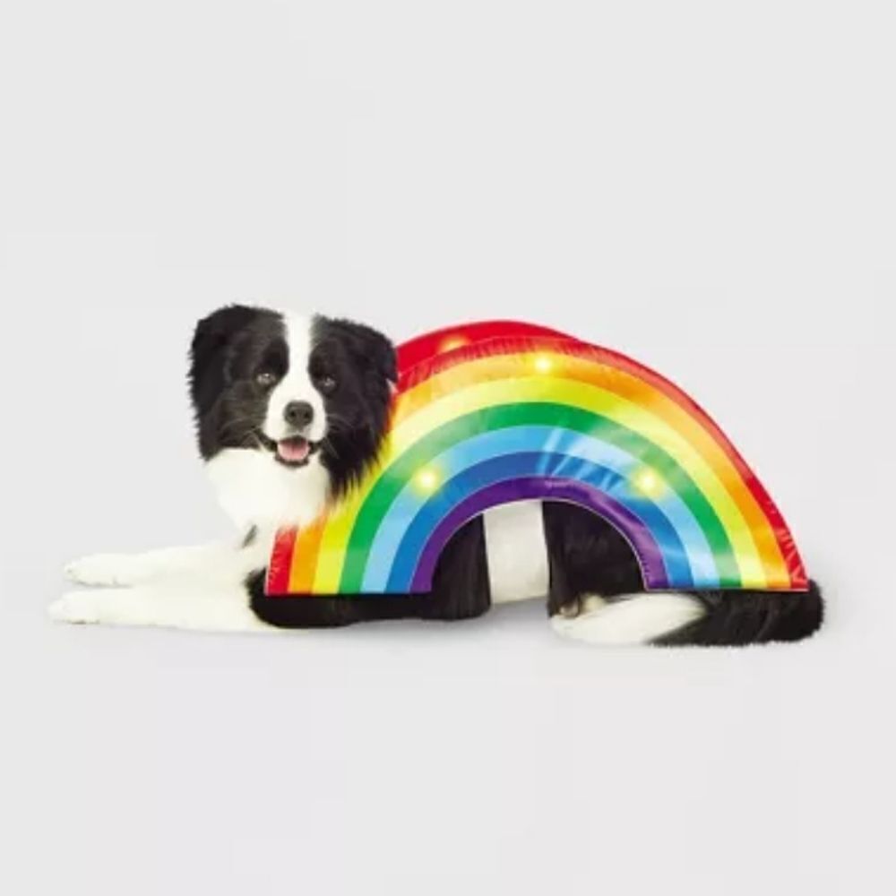 LED Rainbow Soft Brights Dog Costume - Hyde & EEK!